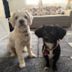 Meet your Posher, Kelly